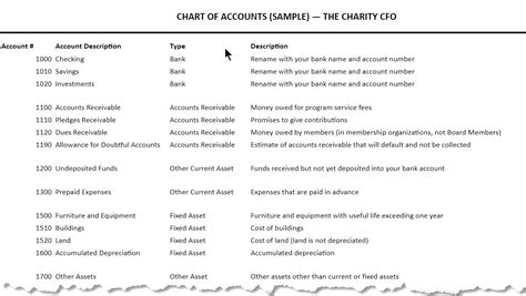 charity accounts template|Set Up a Nonprofit Chart of Accounts (Free Template) .